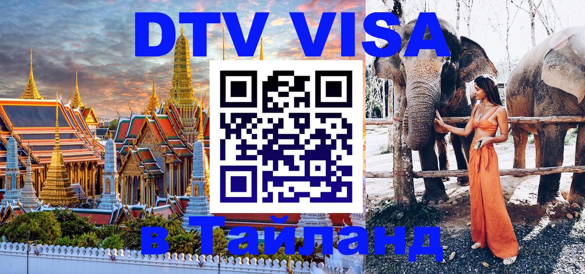 Оформление DTV визы под ключ: стоимость и тарифы, только загранпаспорт - 